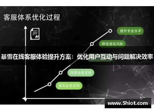 暴雪在线客服体验提升方案：优化用户互动与问题解决效率